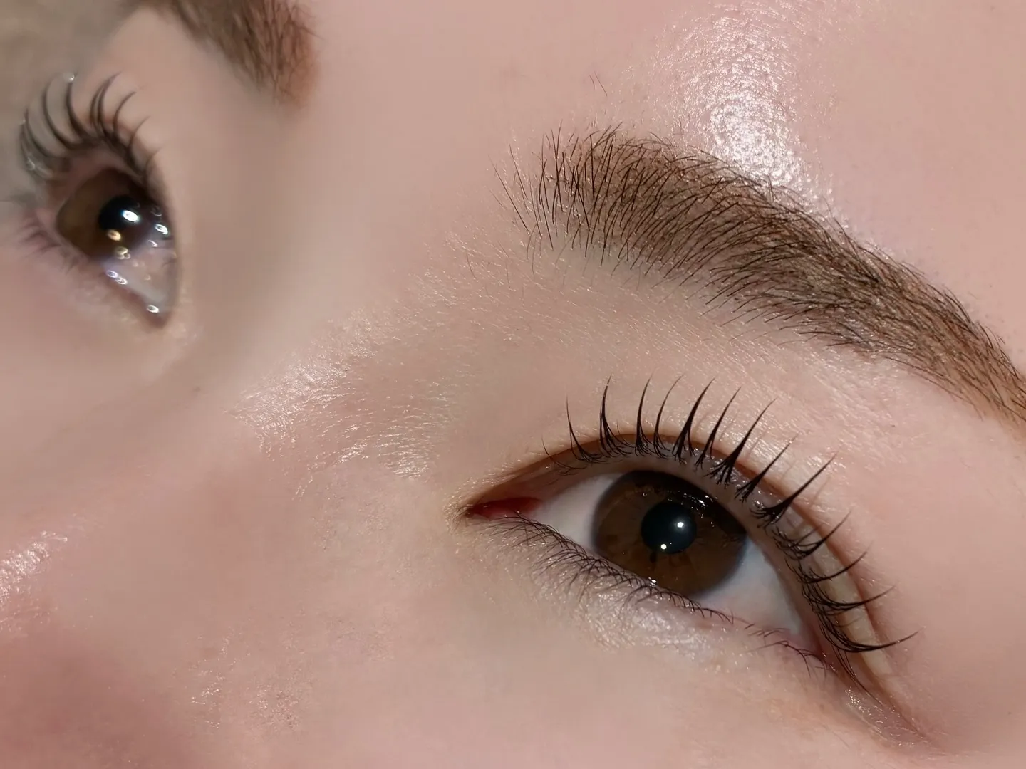 ビューラー卒業!